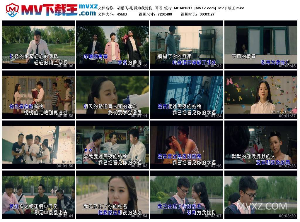 胡鹏飞-别再为我忧伤_国语_流行_MEA01517